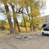 Review photo of Red Creek Rd Dispersed Camping by Vinny D., September 30, 2025