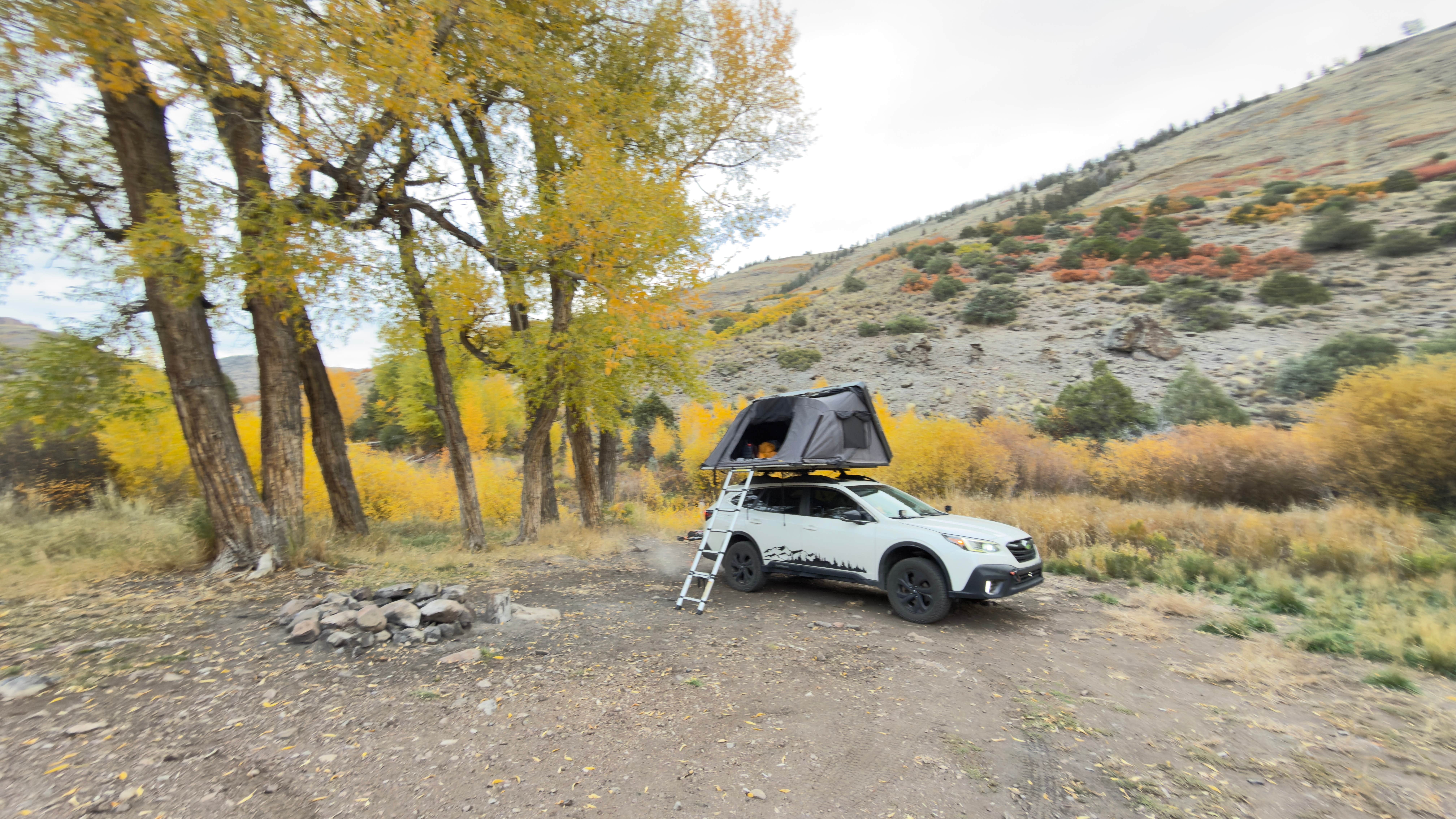 Camper submitted image from Red Creek Rd Dispersed Camping - 5