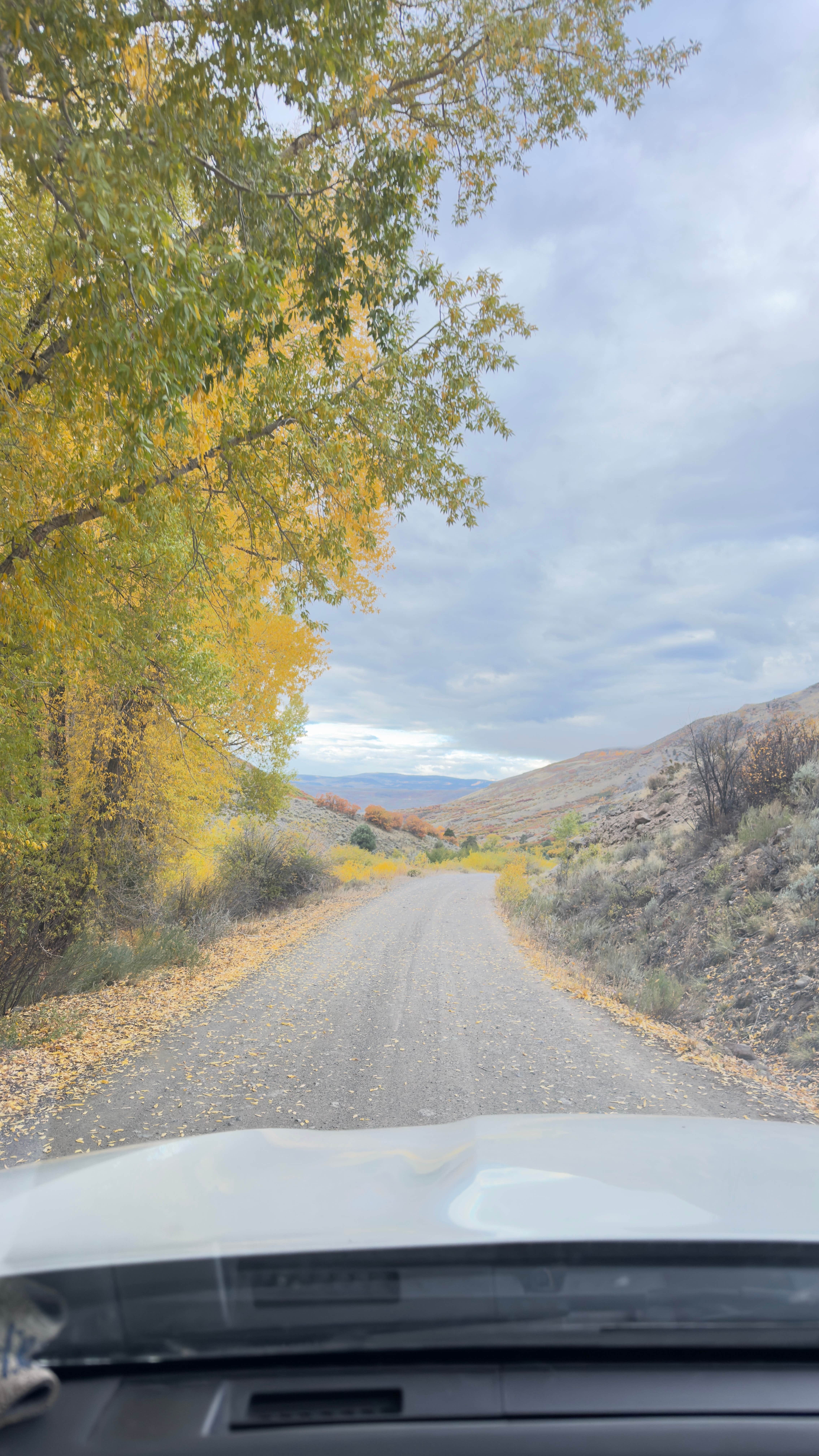Camper-submitted photo at Red Creek Rd Dispersed Camping near Black Canyon of the Gunnison National Park