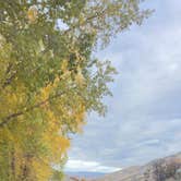 Review photo of Red Creek Rd Dispersed Camping by Vinny D., September 30, 2025