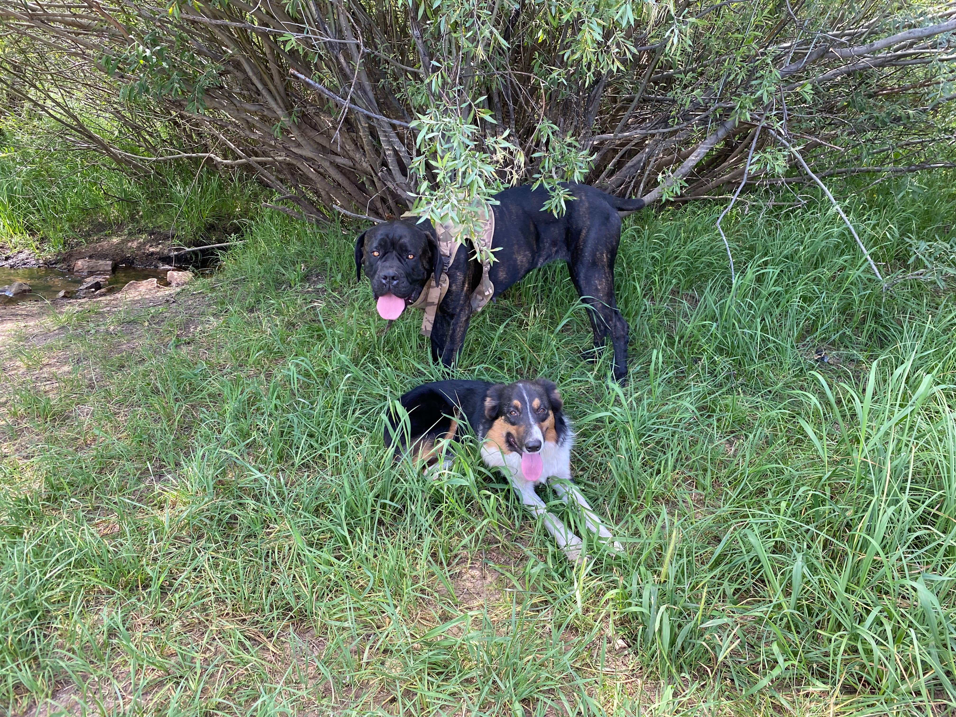 Camper-submitted photo at Red Dirt Reservoir near Steamboat Springs, CO