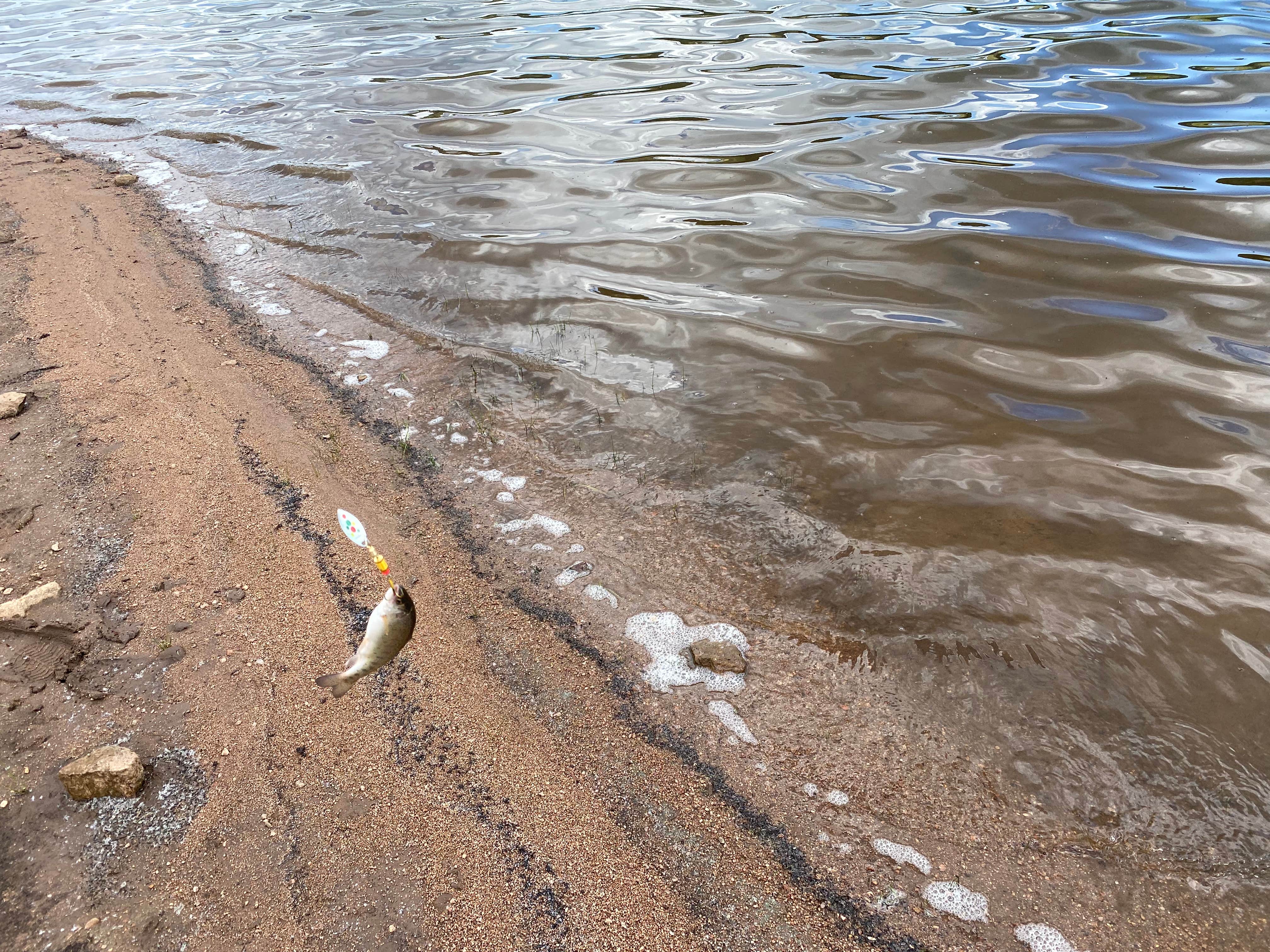 Camper submitted image from Red Dirt Reservoir - 3