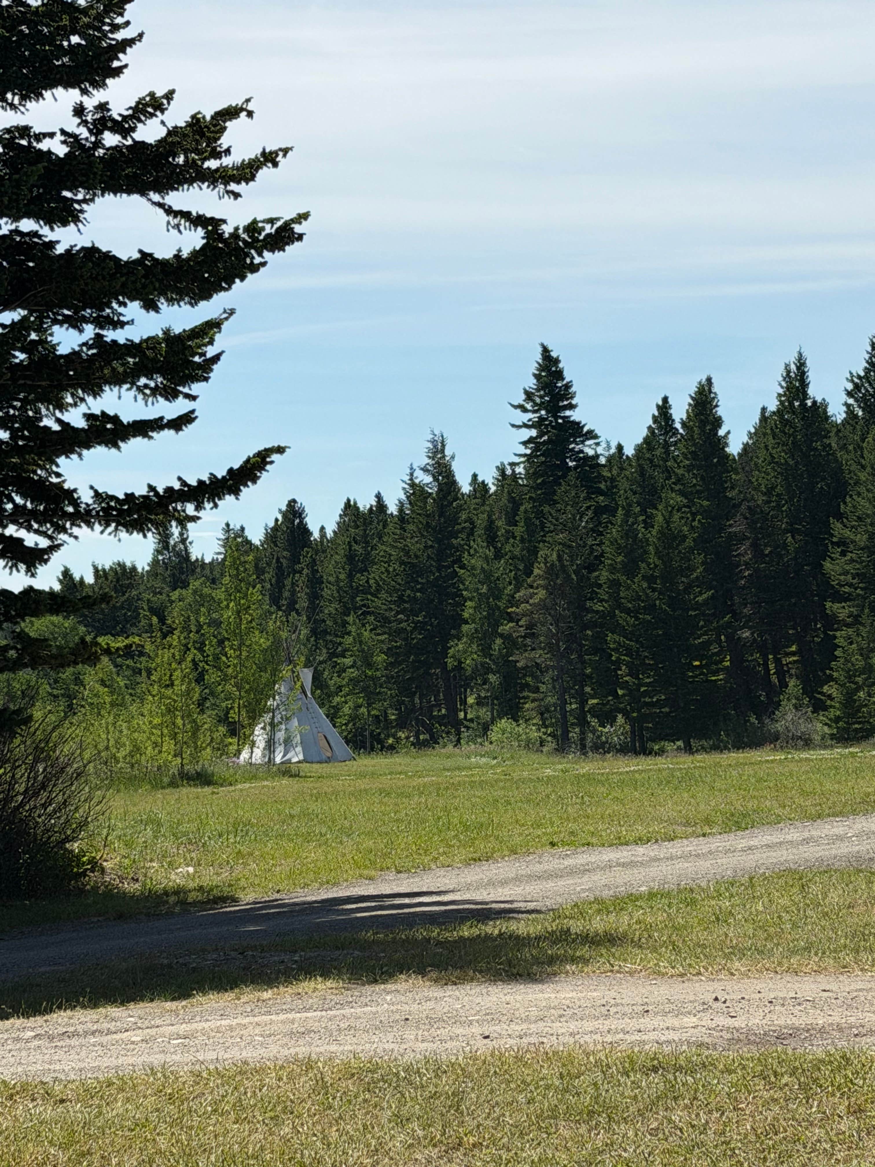 Camper-submitted photo at Red Eagle Campground near Hungry Horse, MT