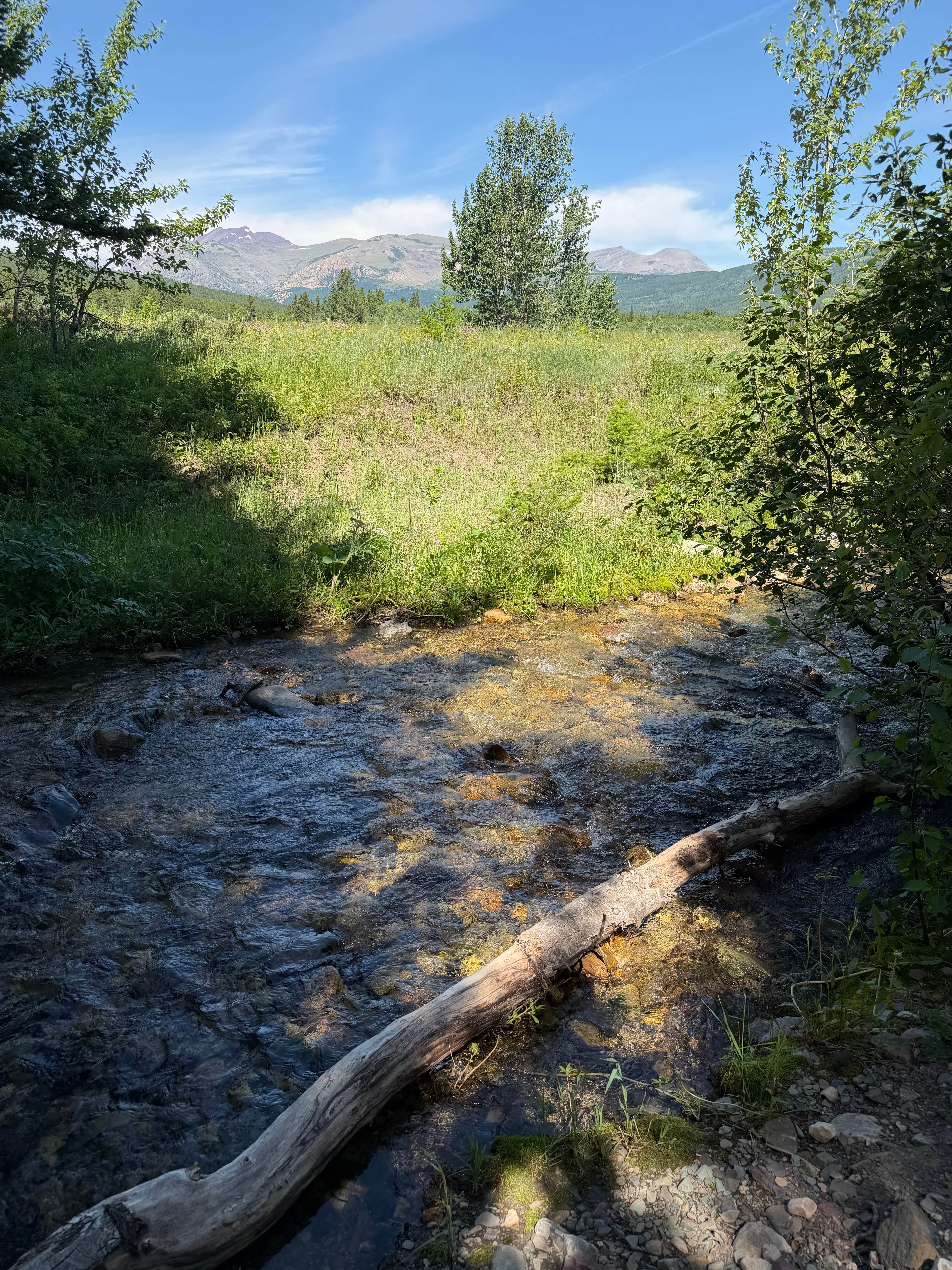 Camper-submitted photo at Red Eagle Campground near Hungry Horse, MT