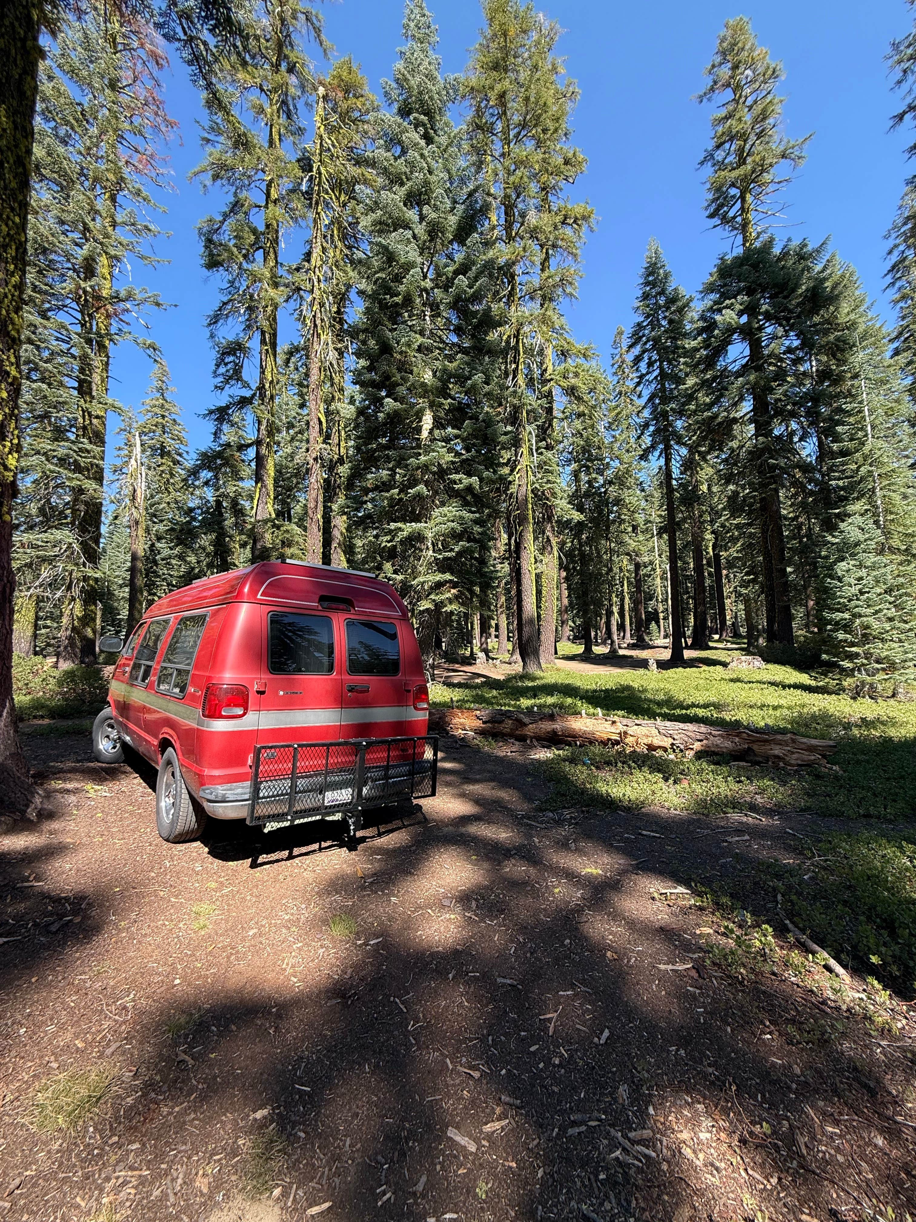 Camper-submitted photo at red fir campground near Greenview, CA