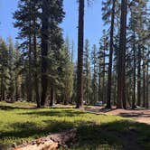 Review photo of red fir campground by Alice P., September 16, 2025