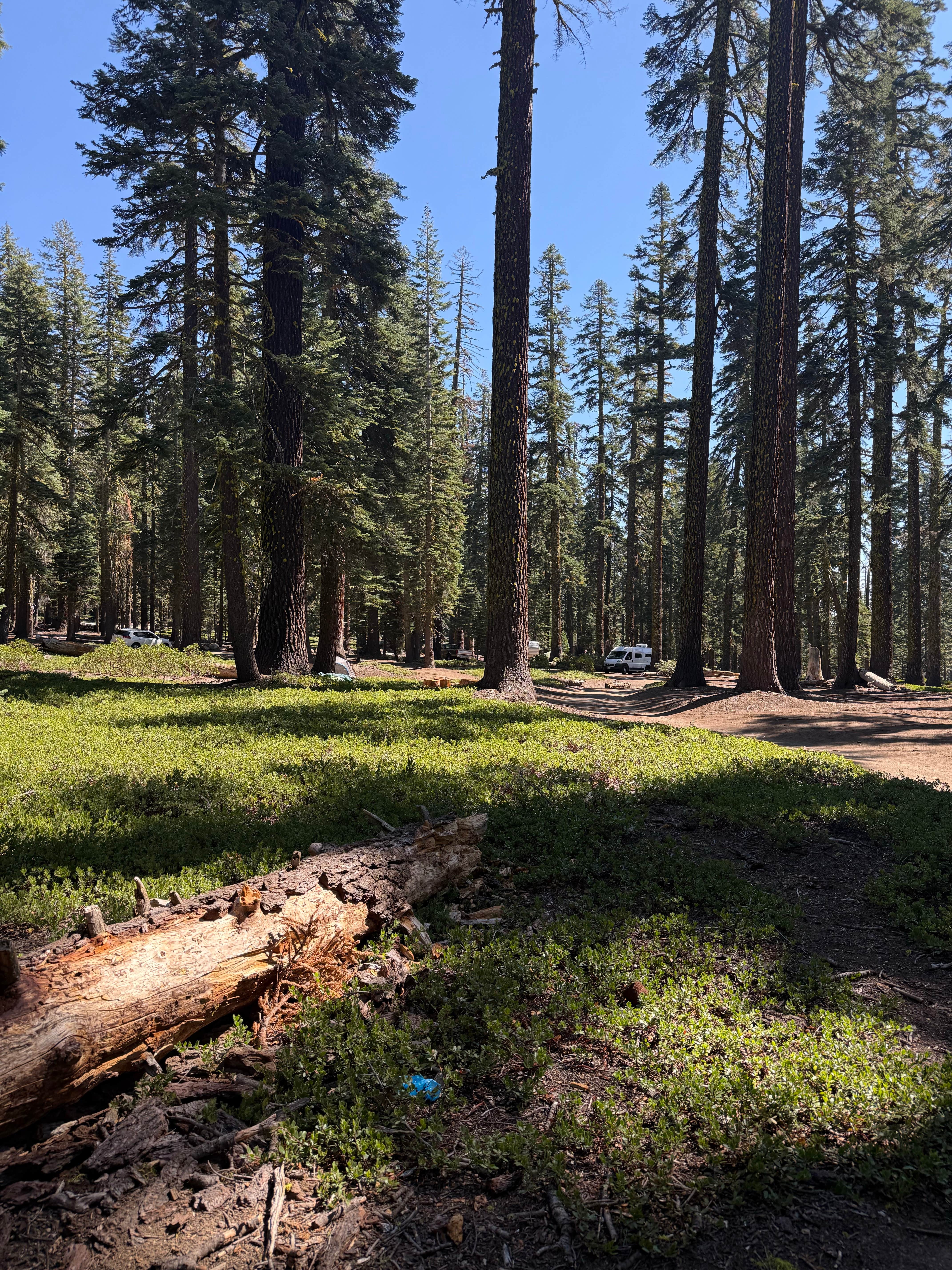 Camper submitted image from red fir campground - 1