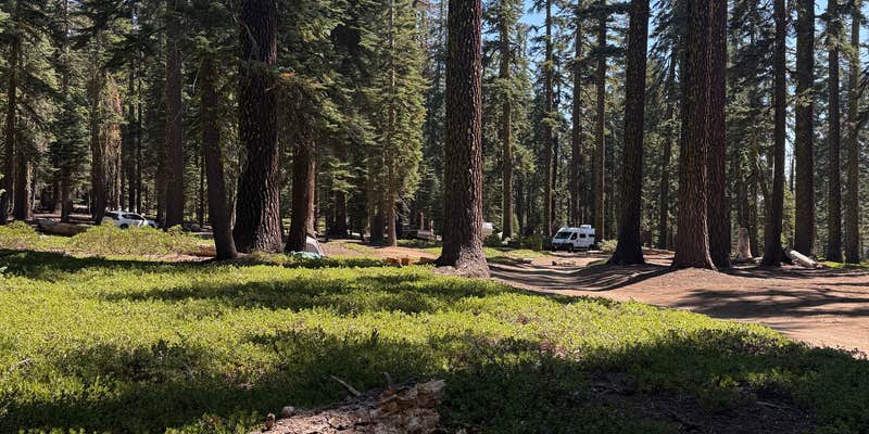 Camper submitted image from red fir campground