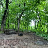 Review photo of Red Fox Campground — Minneopa State Park by Katie C., June 11, 2024