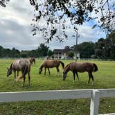 Review photo of Red Gate Farms - RV Resort by Eleanor the Airstream R., September 4, 2024