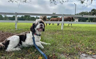 Eleanor the Airstream R.'s photo of camping with pets at Red Gate Farms - RV Resort near Bluffton, SC