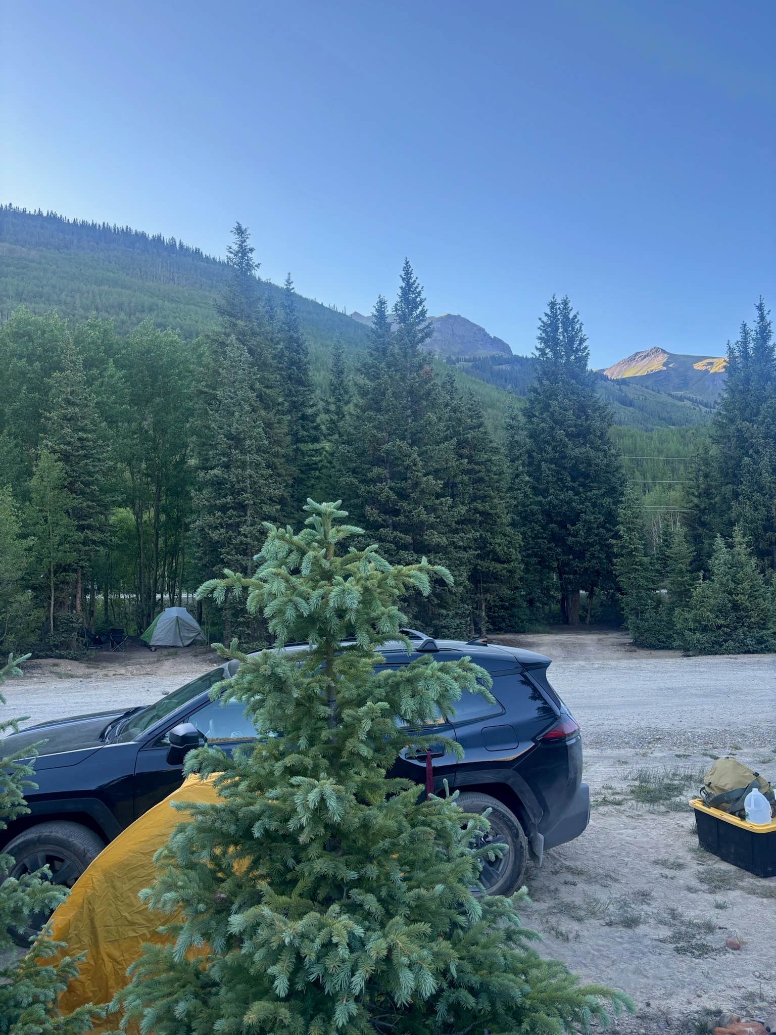 Camper-submitted photo at Red Mountain Creek near Lake City, CO