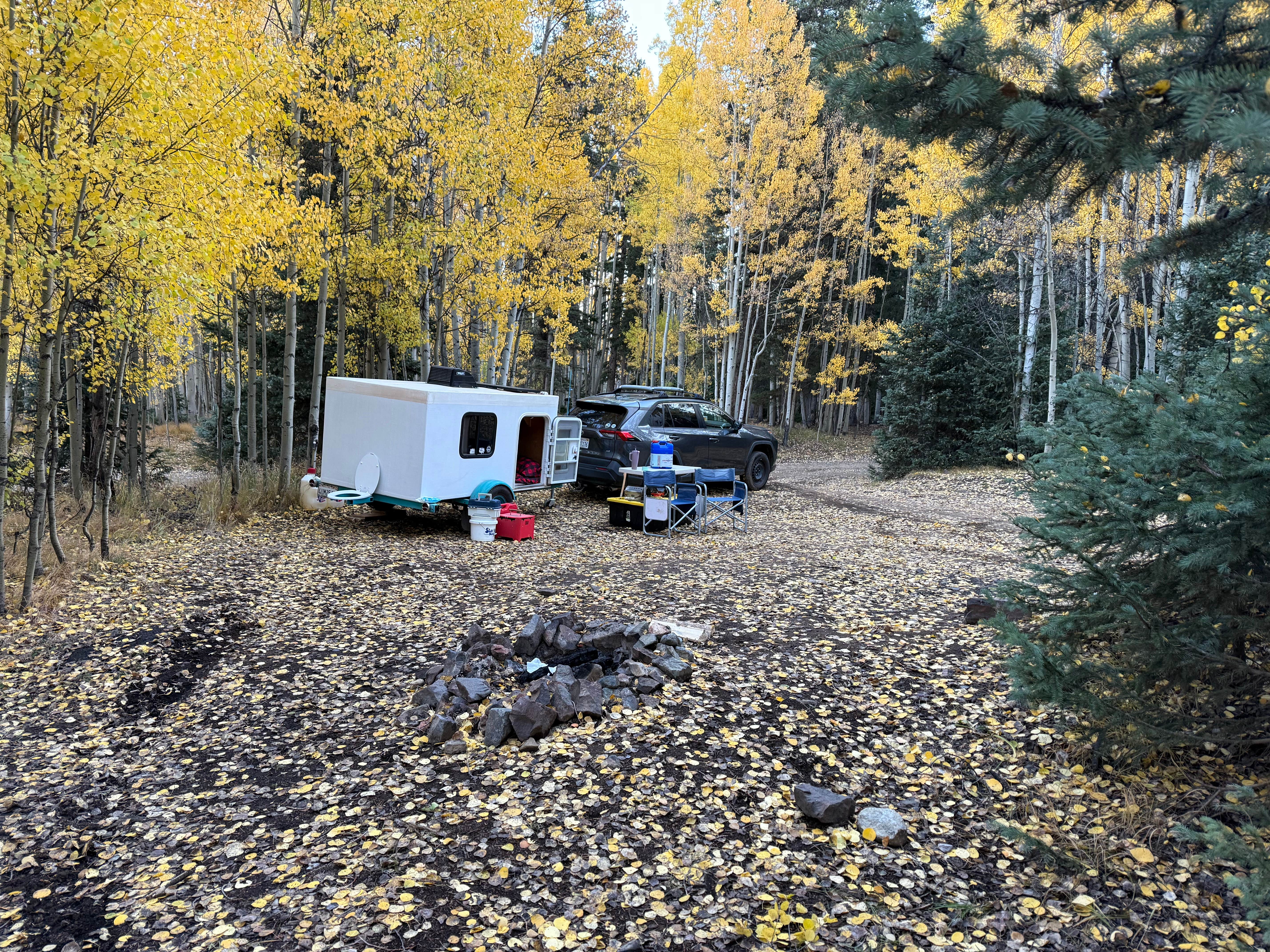 Camper-submitted photo at Red Mountain Creek near Cascade, CO