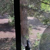 Review photo of Red Mountain Creek by Kerry B., August 24, 2025