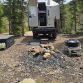 Review photo of Red Mountain Creek by Jesse G., May 22, 2026