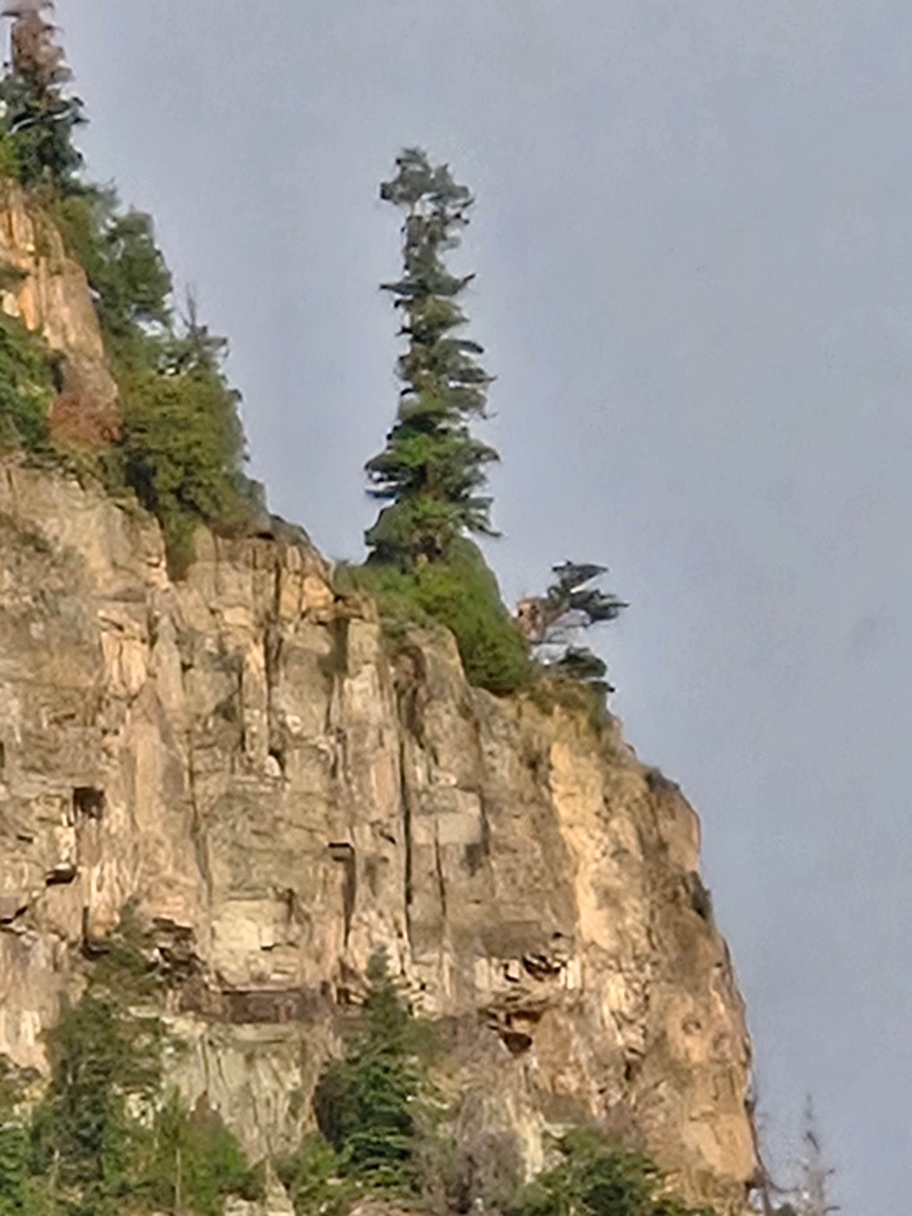 Camper-submitted photo at Red Mountain RV Park Ouray Colorado near Ouray, CO