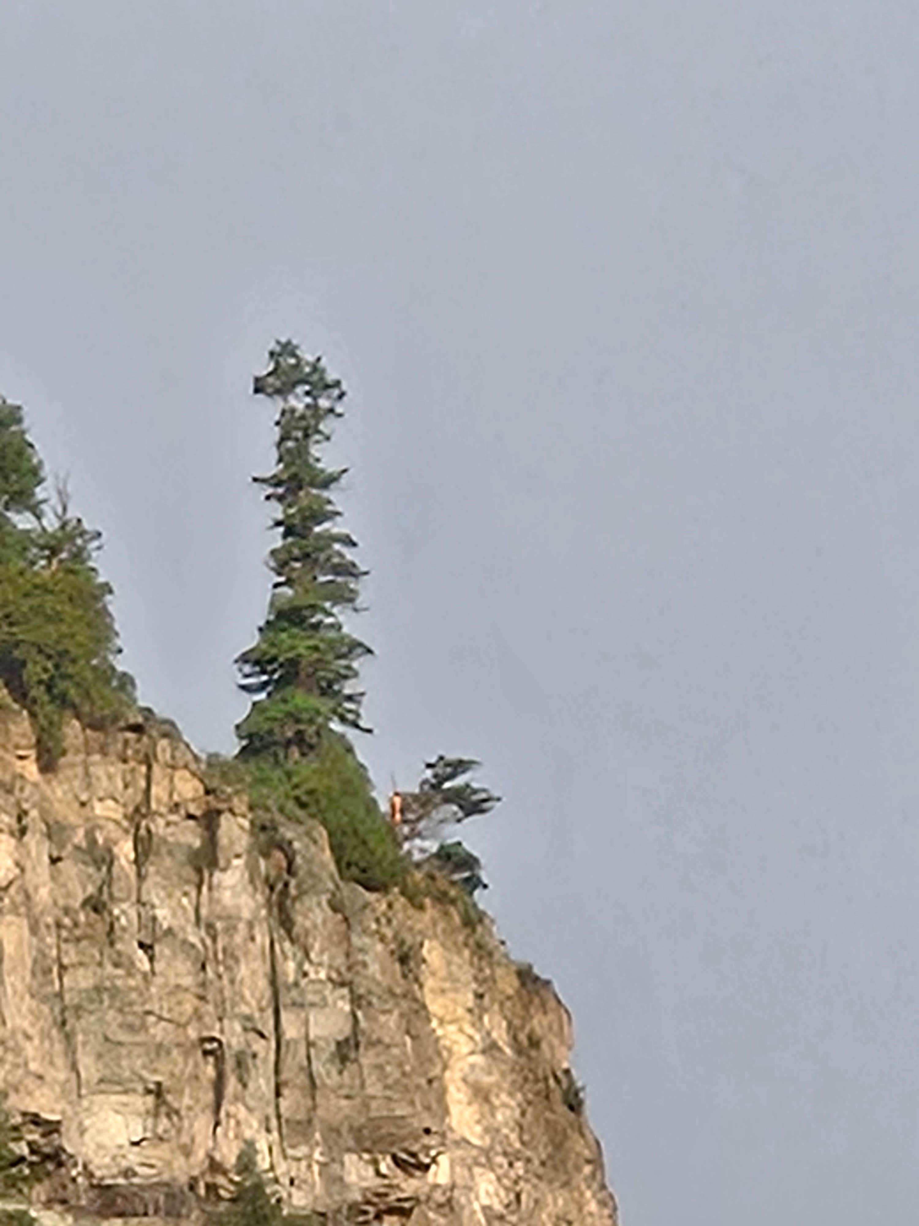 Camper submitted image from Red Mountain RV Park Ouray Colorado - 1