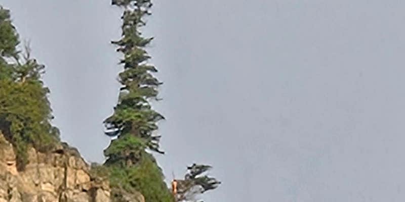 Camper submitted image from Red Mountain RV Park Ouray Colorado