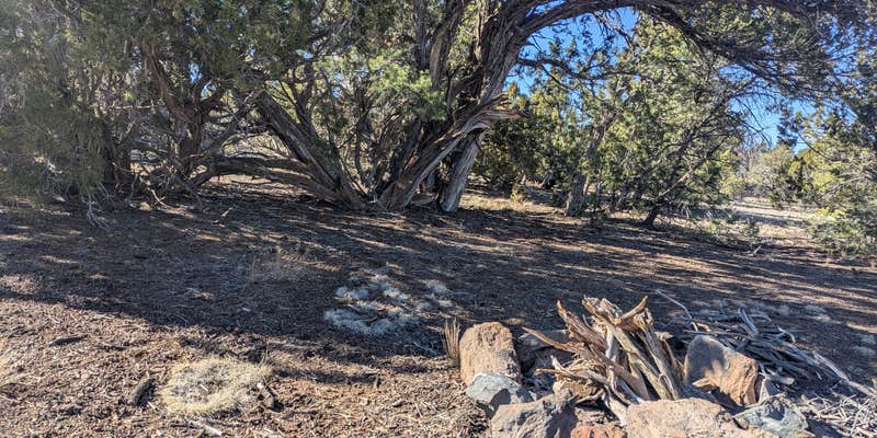 Camper submitted image from Red Mountain TH