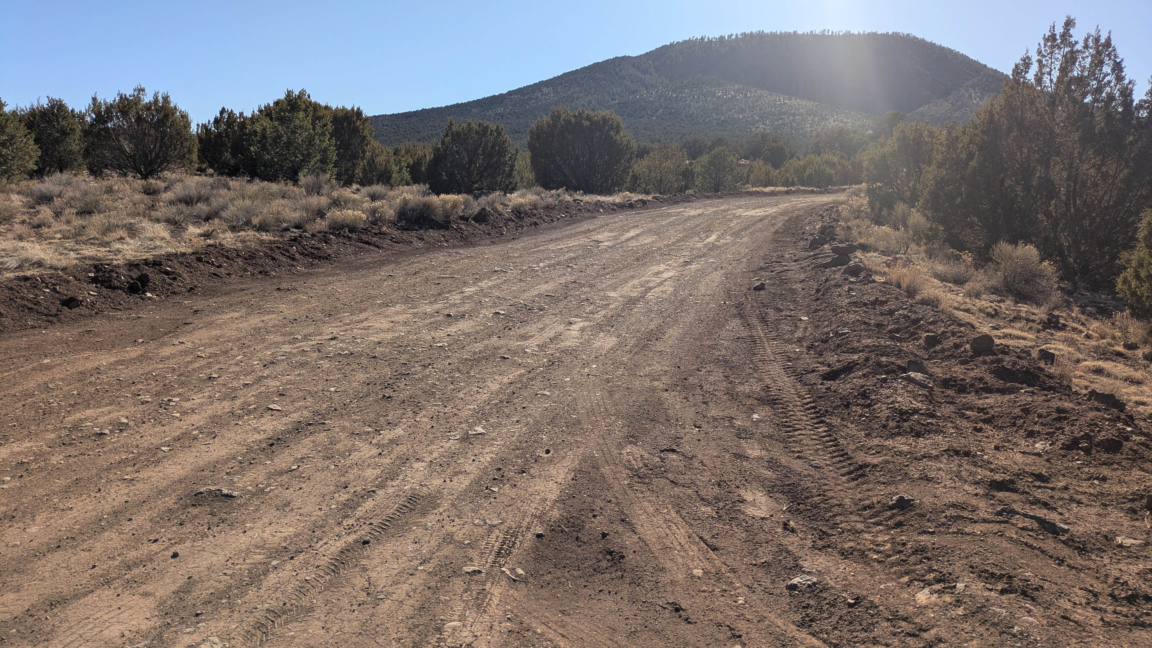 Camper-submitted photo at Red Mountain TH near Kaibab National Forest