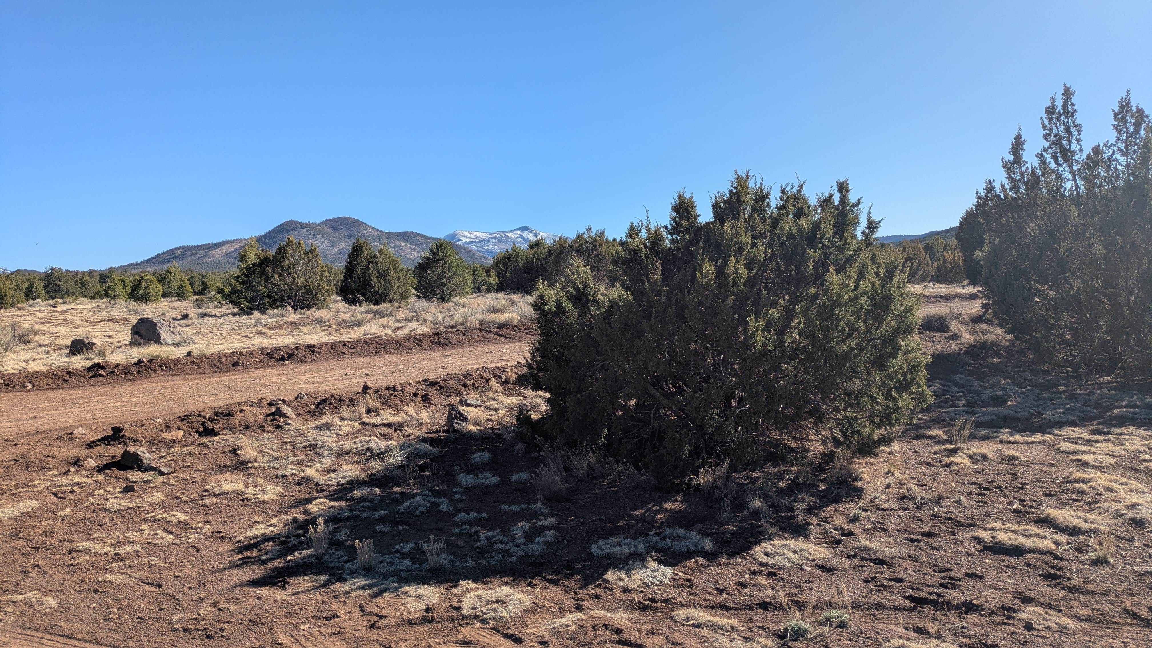Camper-submitted photo at Red Mountain TH near Kaibab National Forest