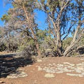 Review photo of Red Mountain TH by Vidalia S., March 7, 2026