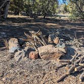 Review photo of Red Mountain TH by Vidalia S., March 7, 2026