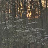 Review photo of Red Oak Campground — James River State Park by Ursula , April 7, 2026