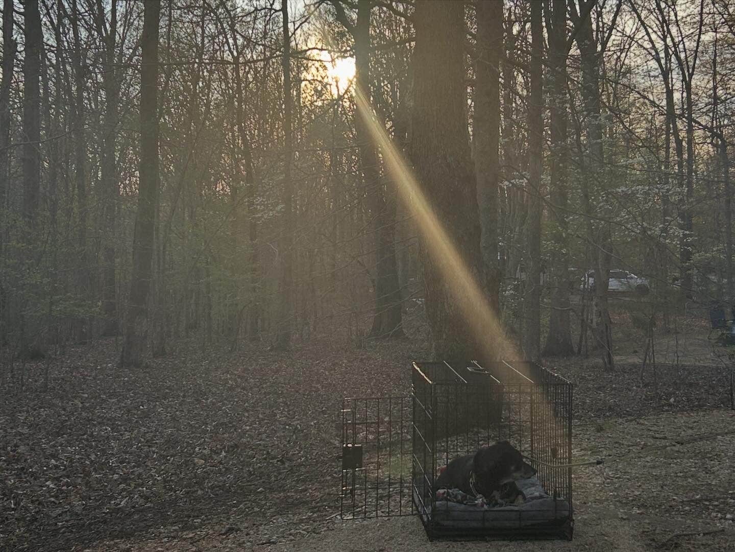 Ursula's photo of camping with pets at Red Oak Campground — James River State Park near Lynchburg, VA