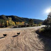 Review photo of Red River RV by Andrew N., October 6, 2025