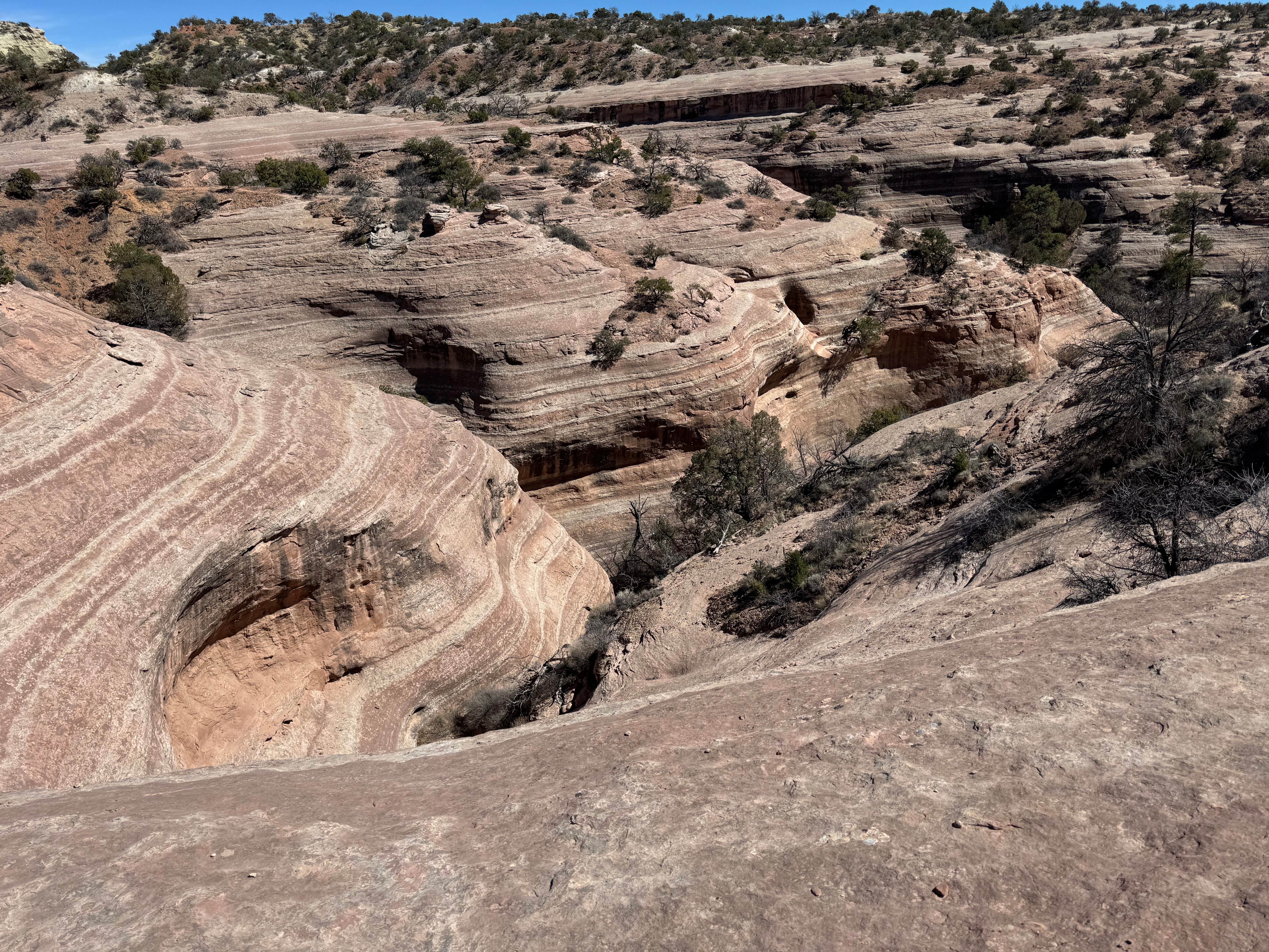 Camper-submitted photo at Red Rock Park & Campground near Rehoboth, NM