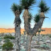 Review photo of Ricardo Campground — Red Rock Canyon State Park by Michelle W., May 2, 2024