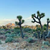 Review photo of Ricardo Campground — Red Rock Canyon State Park by Michelle W., May 2, 2024