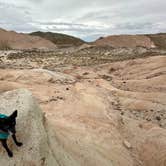 Review photo of Ricardo Campground — Red Rock Canyon State Park by LILI P., February 19, 2024