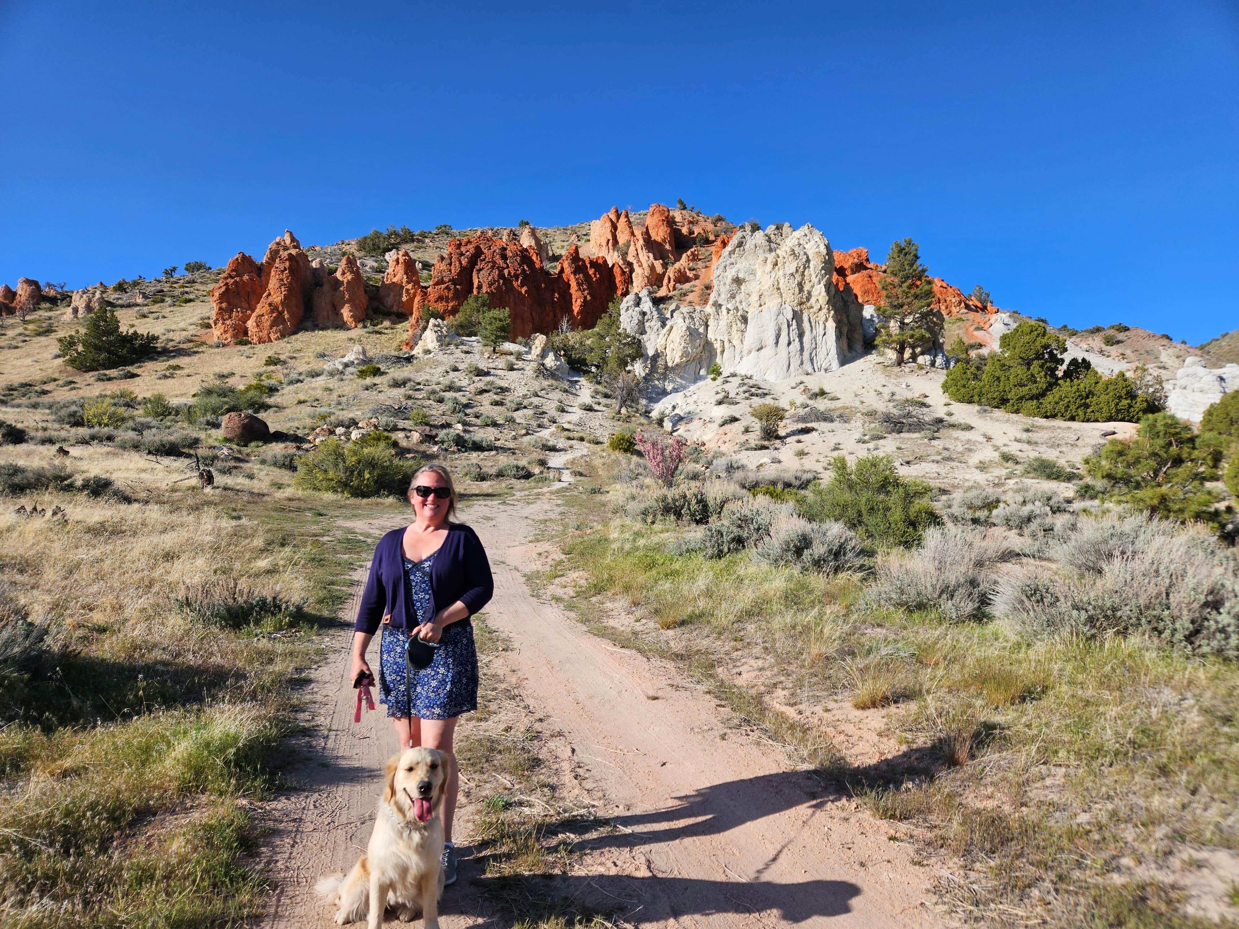 Camper-submitted photo at Red Rock Road Pull Out near Chilcoot, CA