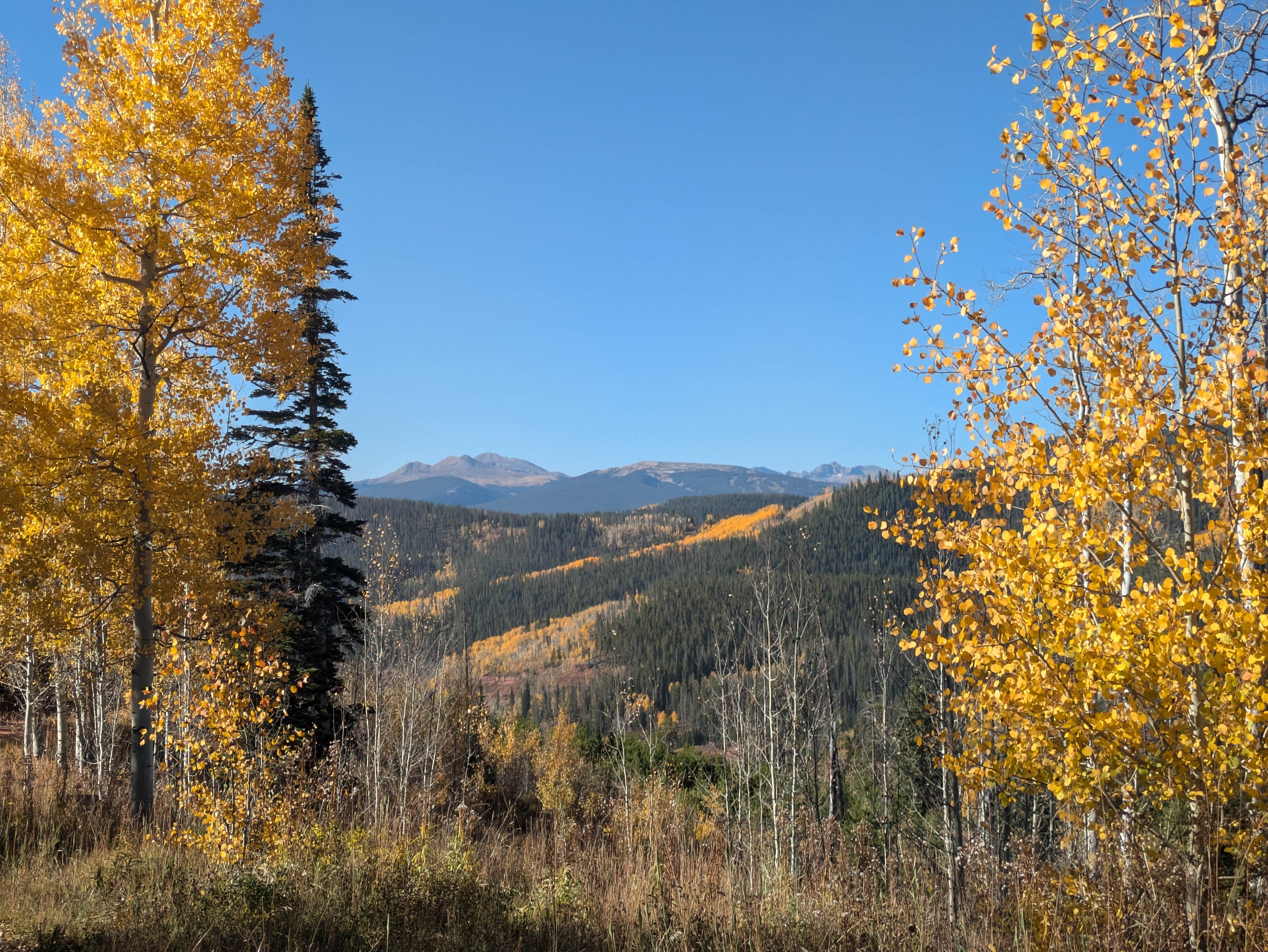 Camper-submitted photo at Red Sandstone - Primitive Dispersed near Edwards, CO