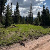 Review photo of Red Sandstone - Primitive Dispersed by Nora S., June 8, 2025
