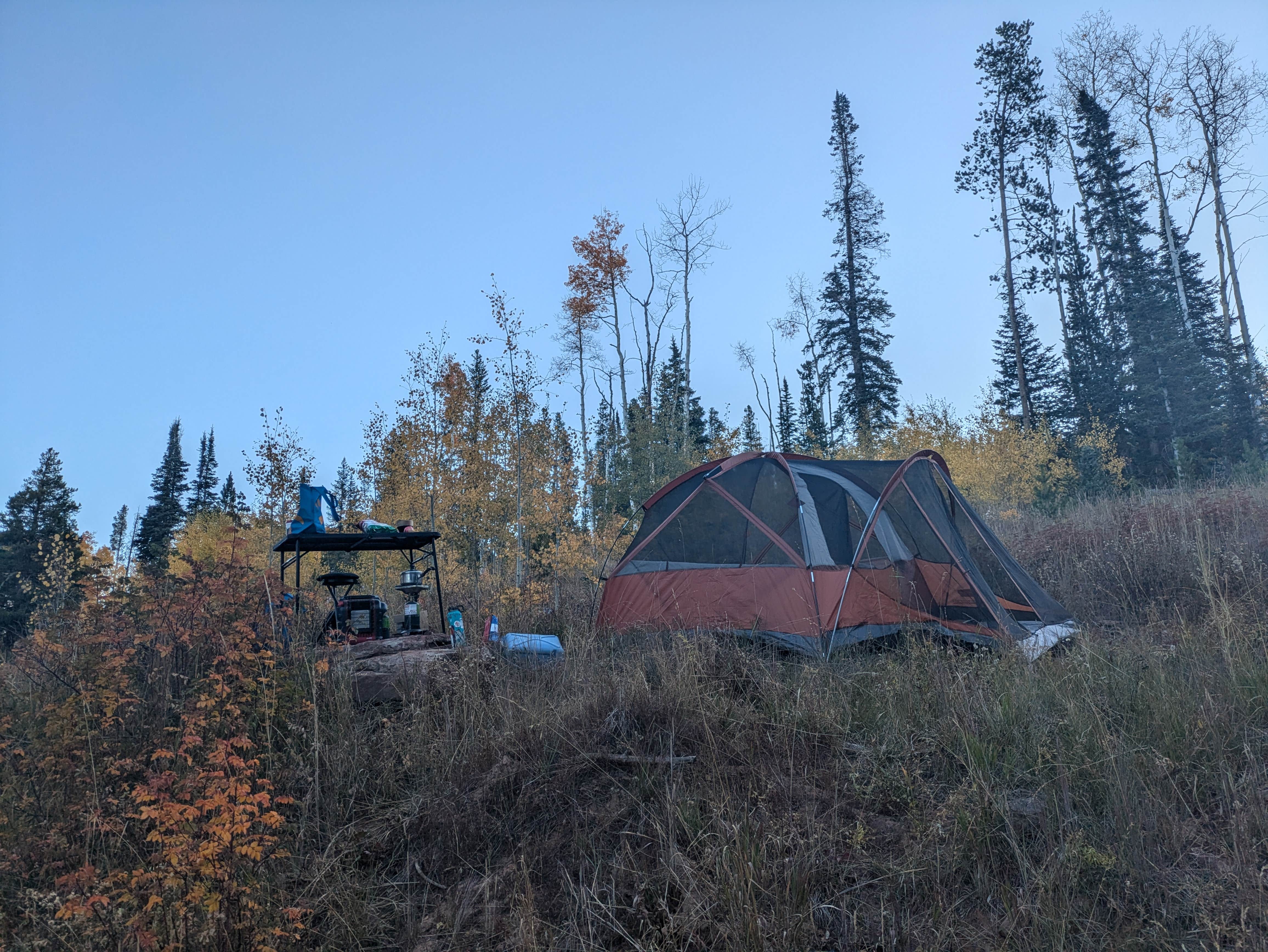 Camper-submitted photo at Red Sandstone - Primitive Dispersed near Heeney, CO