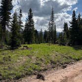 Review photo of Red Sandstone - Primitive Dispersed by Nora S., June 8, 2025