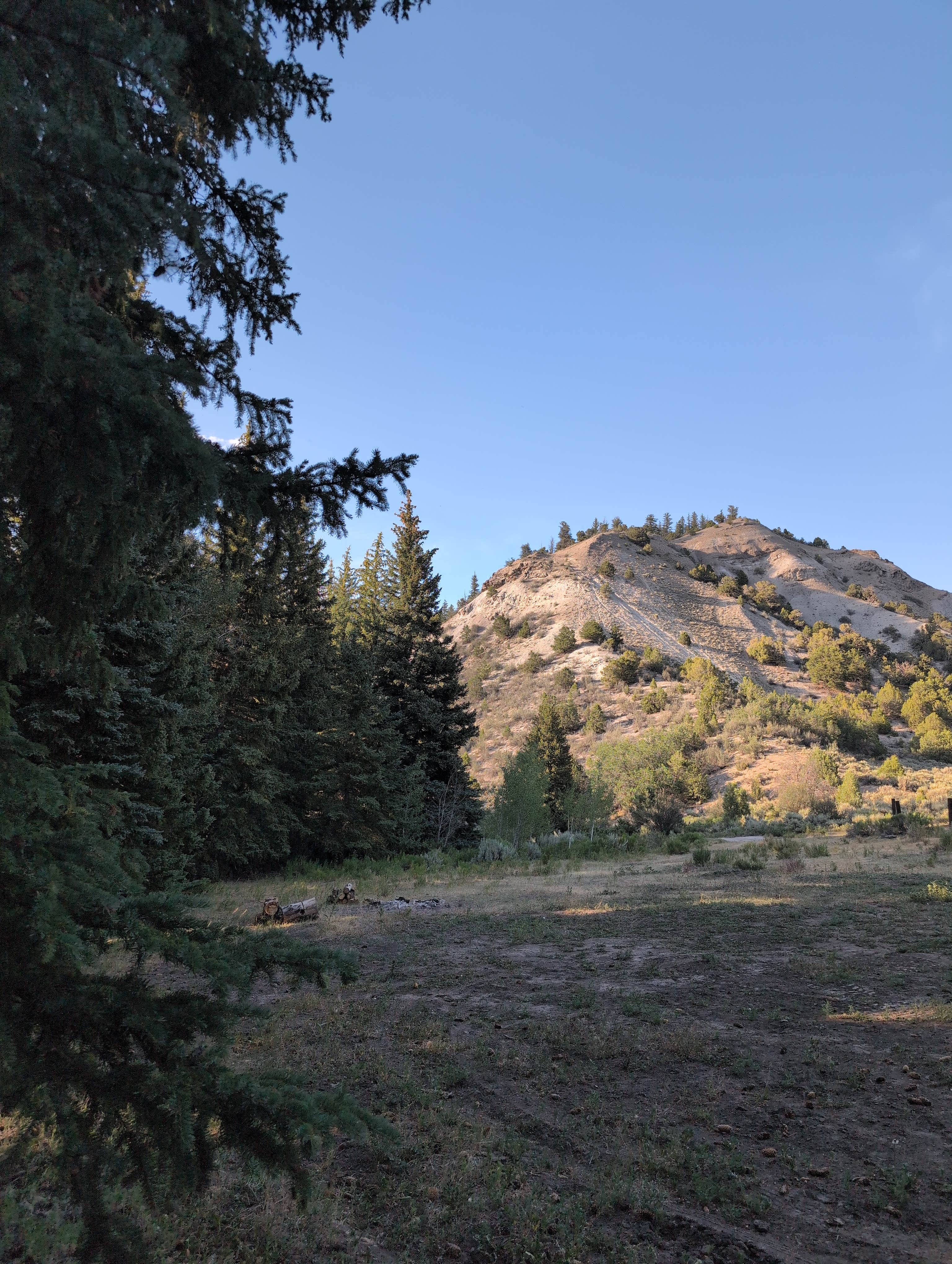 Camper-submitted photo at Red Table Road, White River National Forest near Glenwood Springs, CO