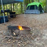 Review photo of Red Top Mountain State Park Campground by Allen S., October 12, 2024