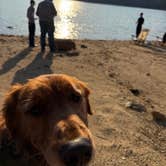 Review photo of Red Top Mountain State Park Campground by Veronica G., July 6, 2026
