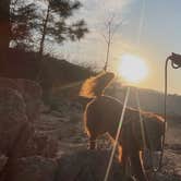 Review photo of Red Top Mountain State Park Campground by Veronica G., July 6, 2026
