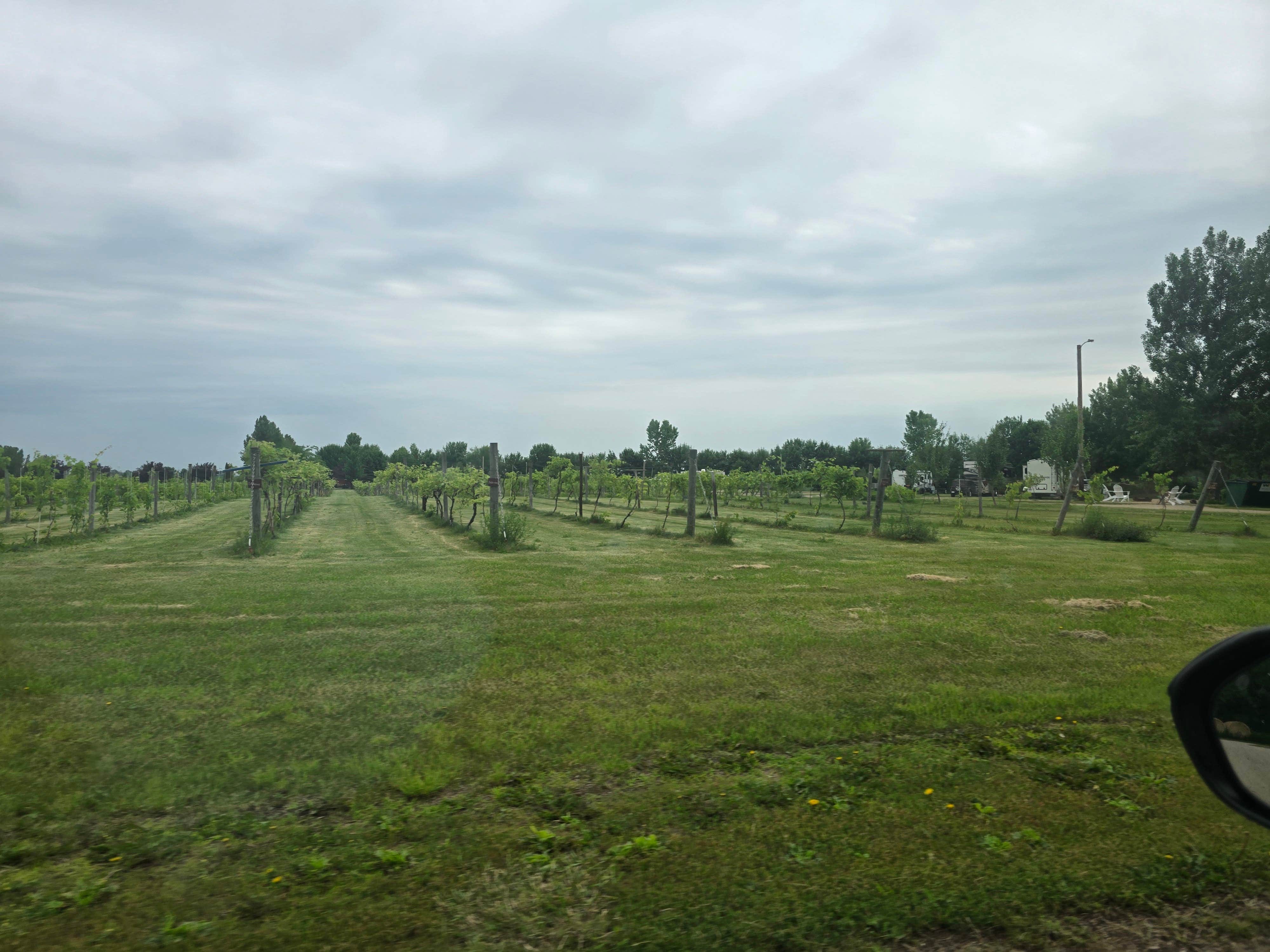 Camper-submitted photo at Red Trail Vineyard RV Park near Fargo, ND
