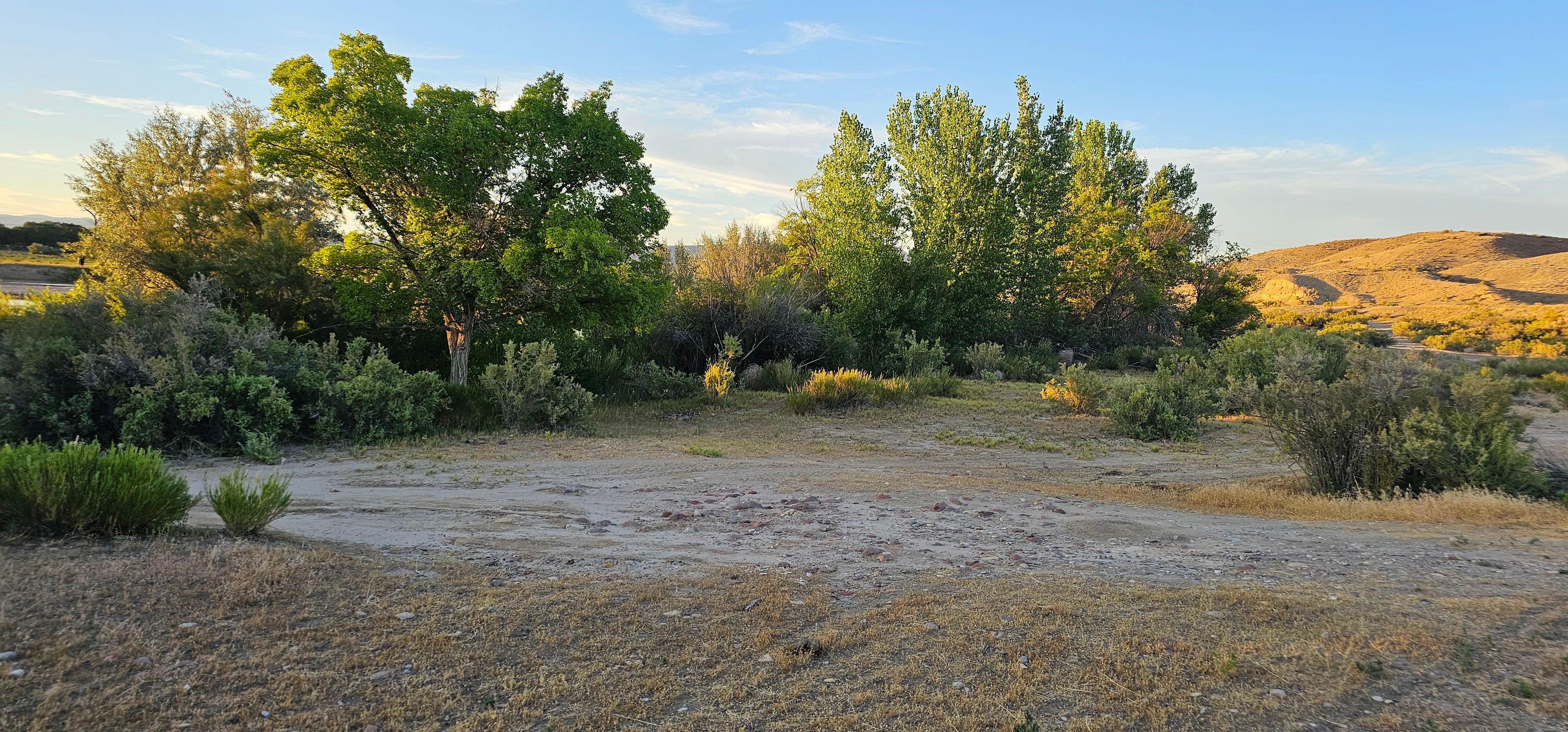 Camper submitted image from Red Wash Rd Dispersed - 2