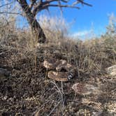 Review photo of Reddington Pass Dispersed by Cass G., July 27, 2024