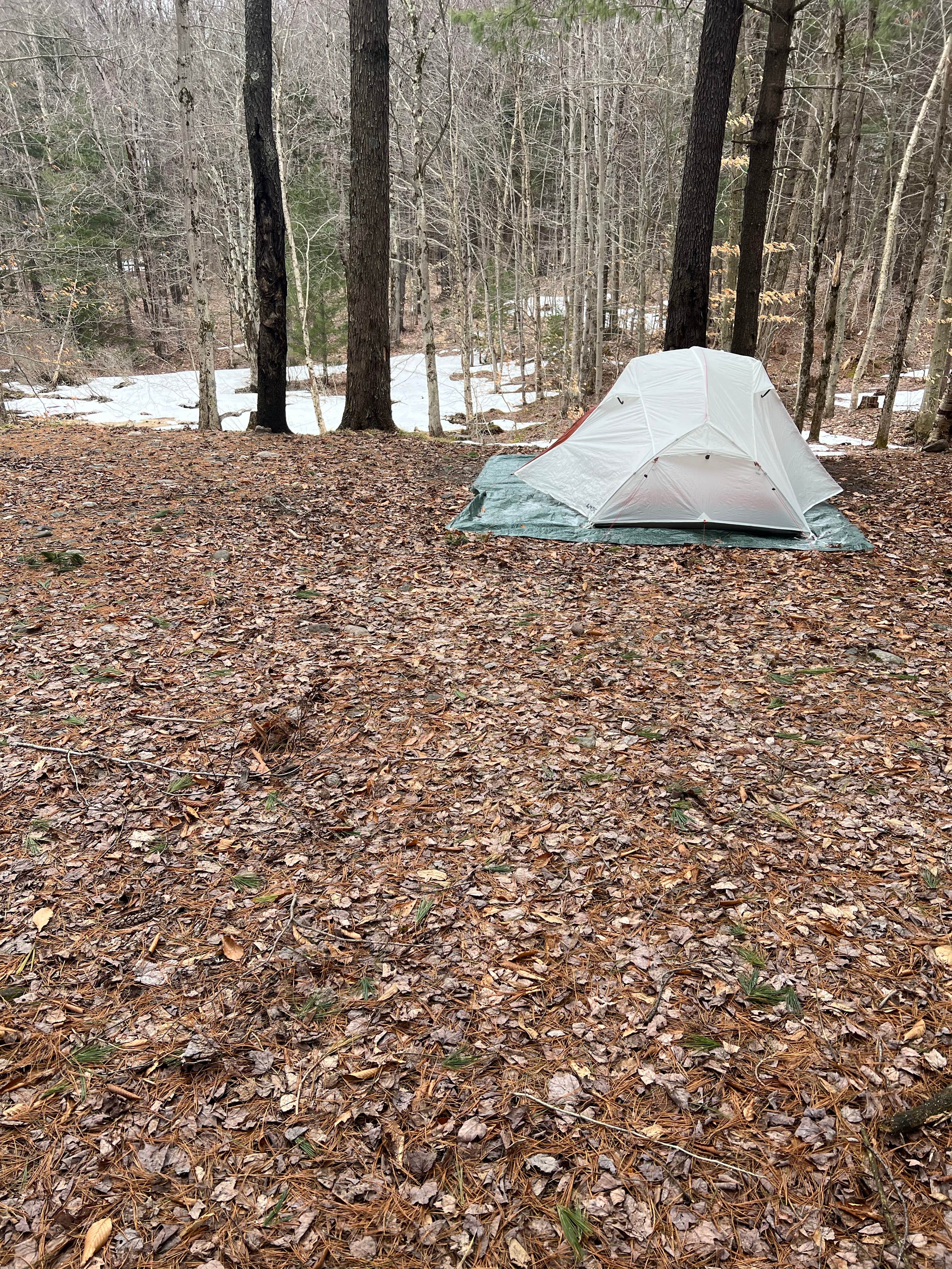 Camping near Travel Resorts of America Bass Lake Resort: Hall Island State Forest, Altmar, New York