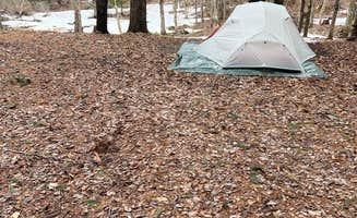 Thomas E.'s photo of tent camping at Hall Island State Forest near Boonville, NY
