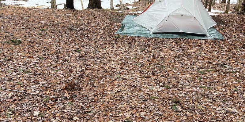 Camper submitted image from Hall Island State Forest