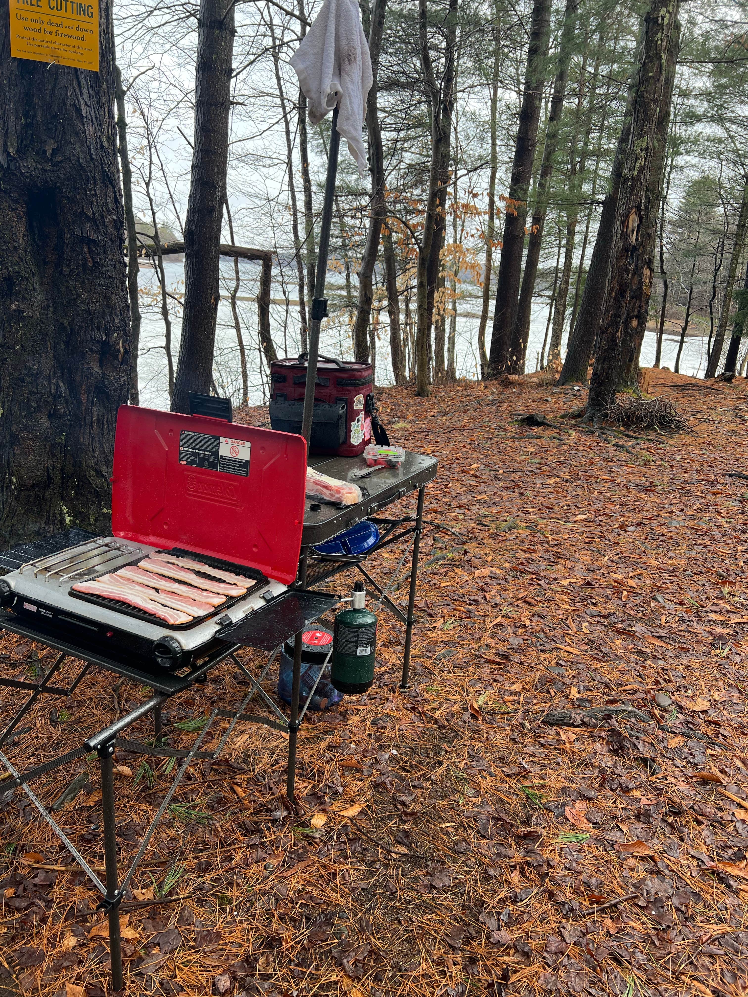 Camper-submitted photo at Hall Island State Forest near Kirkville, NY